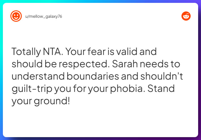 Comment from u/mellow_galaxy76