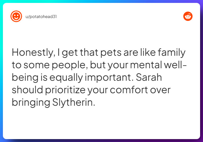 Comment from u/potatohead31