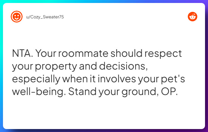 Comment from u/Cozy_Sweater75