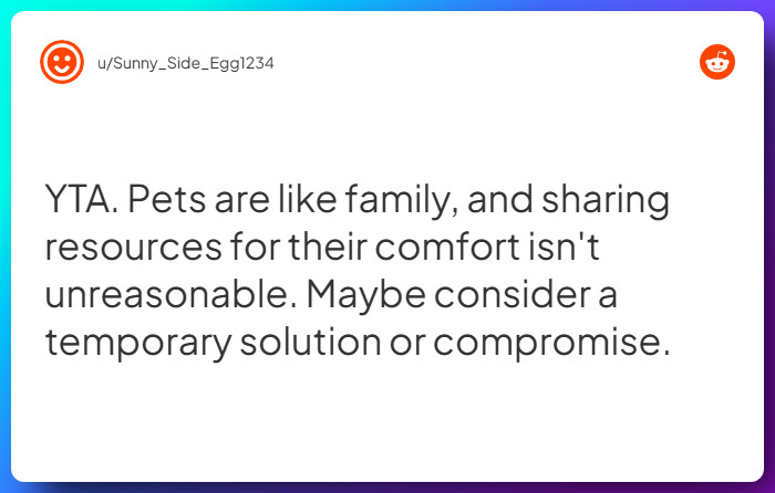 Comment from u/Sunny_Side_Egg1234