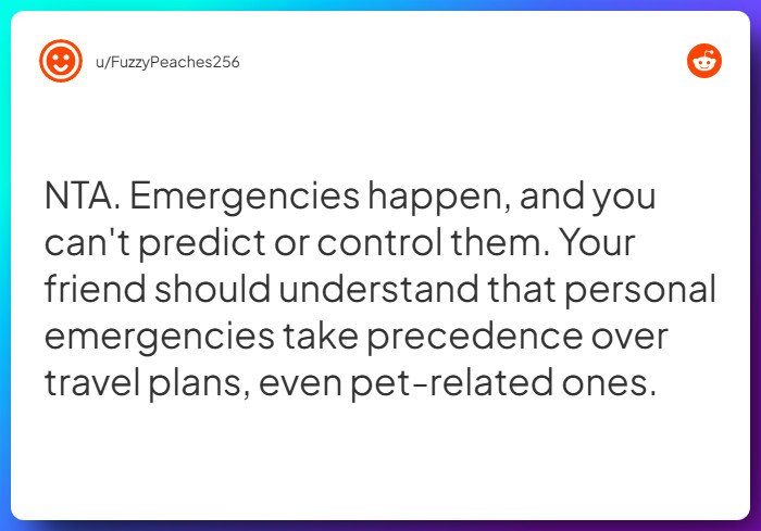 Comment from u/FuzzyPeaches256