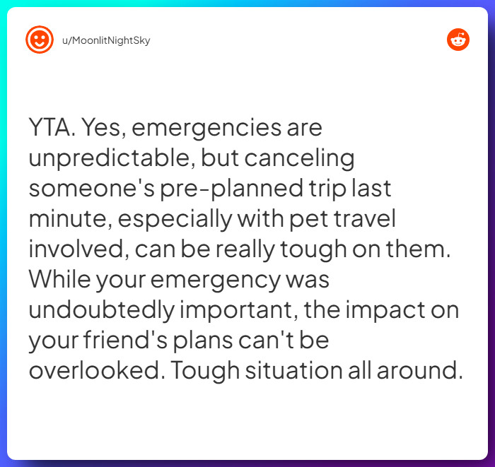 Comment from u/MoonlitNightSky