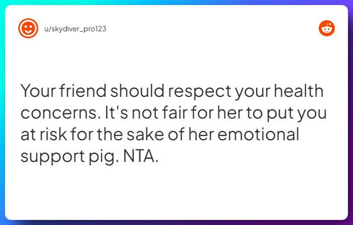 Comment from u/skydiver_pro123