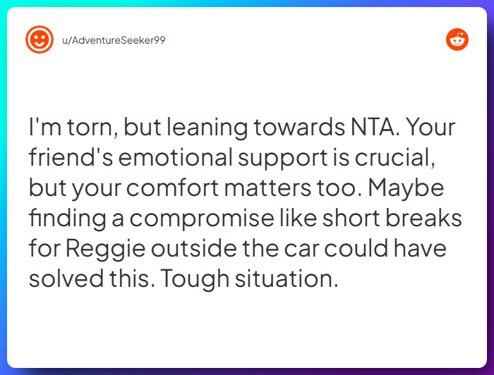 Comment from u/AdventureSeeker99