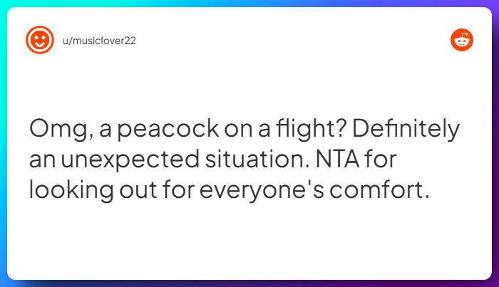 Comment from u/musiclover22