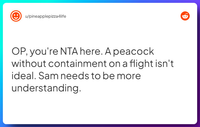 Comment from u/pineapplepizza4life