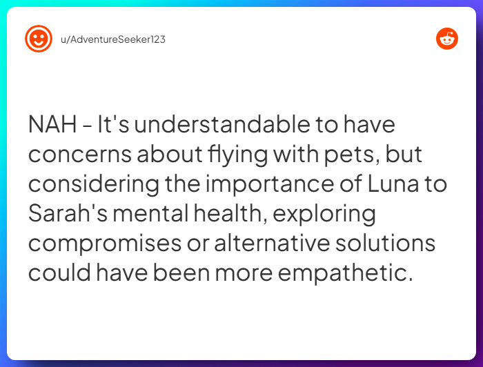 Comment from u/AdventureSeeker123