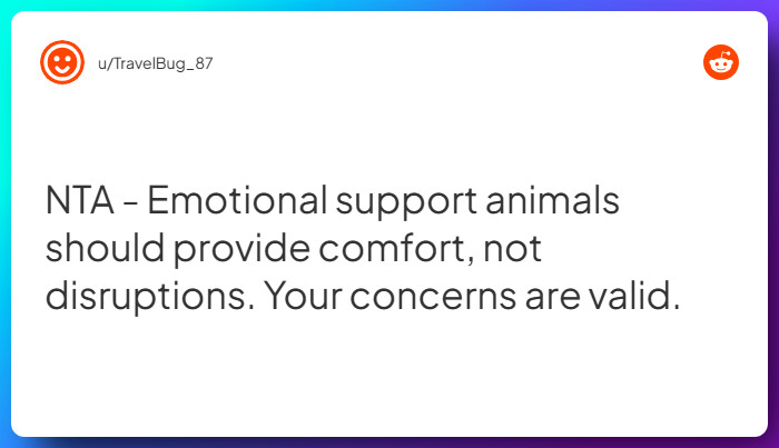 Comment from u/TravelBug_87