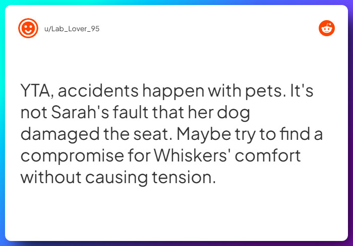 Comment from u/Lab_Lover_95