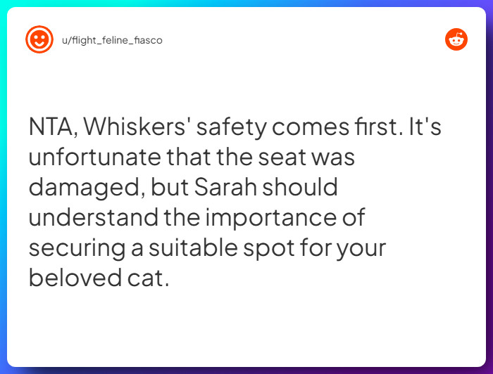 Comment from u/flight_feline_fiasco