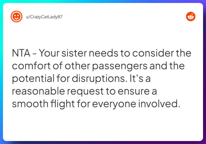 Comment from u/CrazyCatLady87