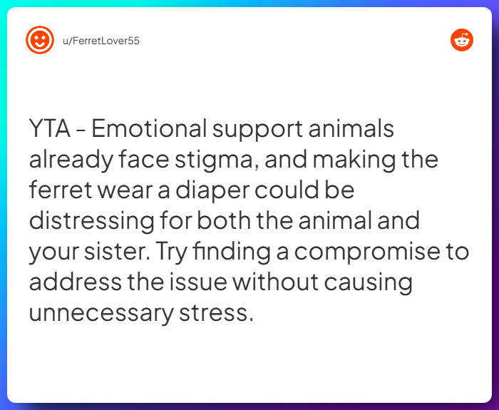 Comment from u/FerretLover55