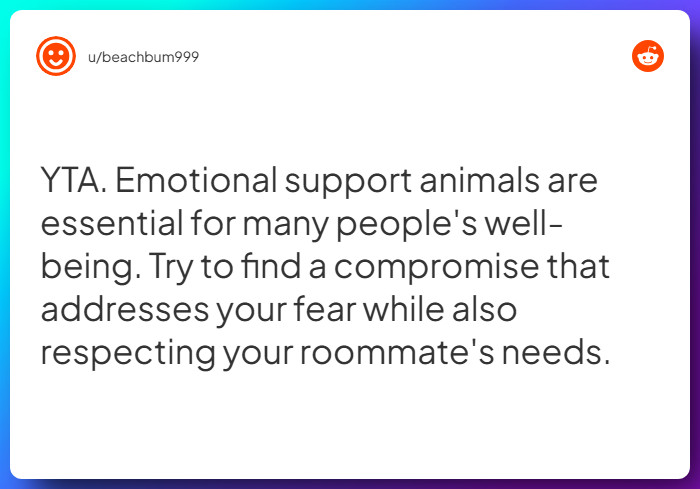 Comment from u/beachbum999