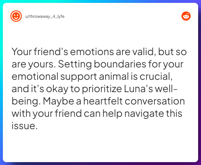 Comment from u/throwaway_4_lyfe