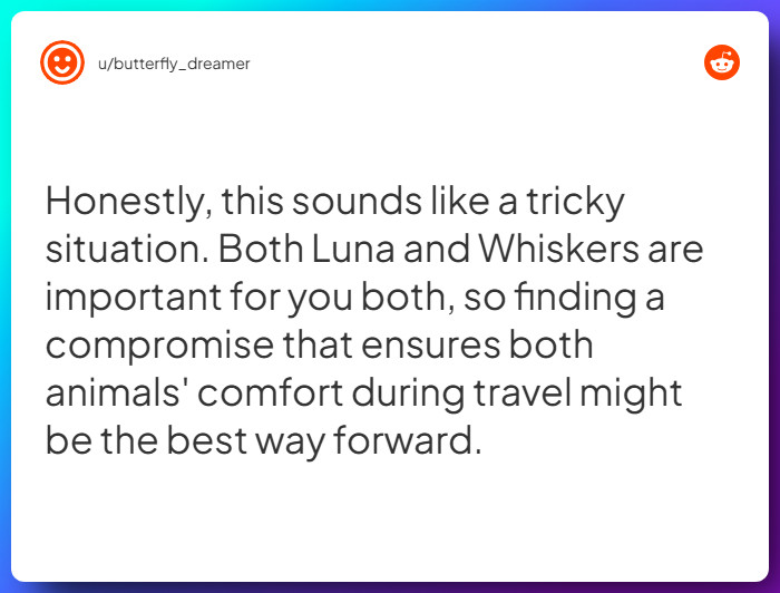 Comment from u/butterfly_dreamer