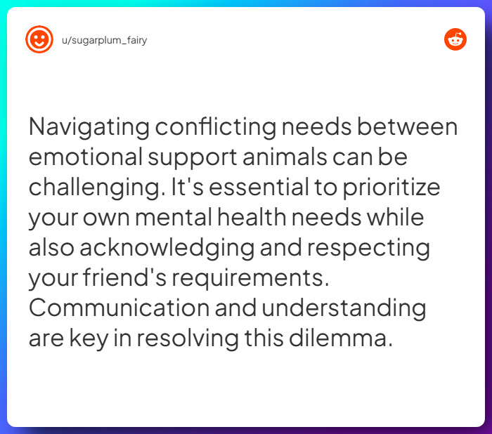 Comment from u/sugarplum_fairy