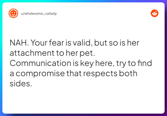 Comment from u/wholesome_catlady