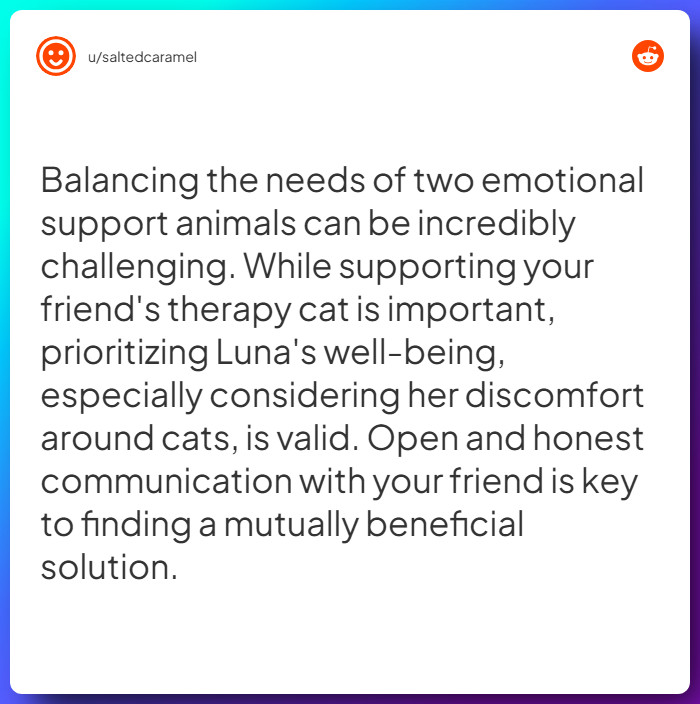 Comment from u/saltedcaramel