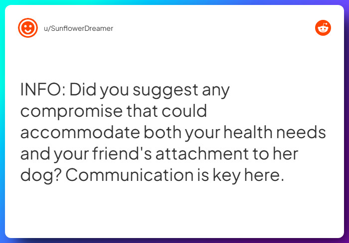 Comment from u/SunflowerDreamer