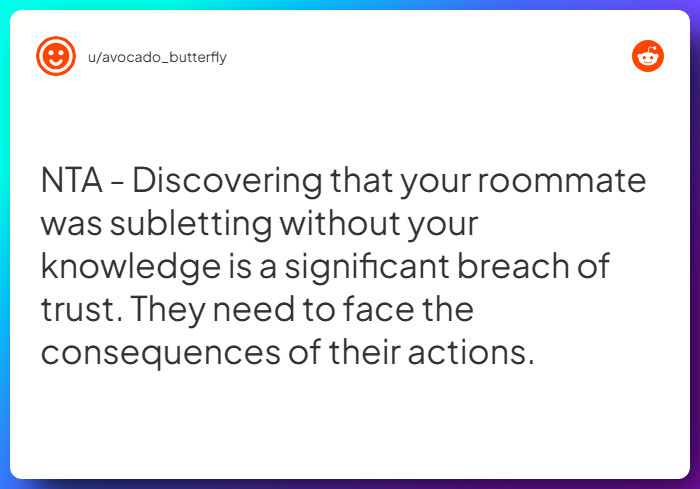 Comment from u/avocado_butterfly