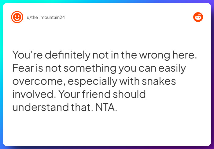 Comment from u/the_mountain24