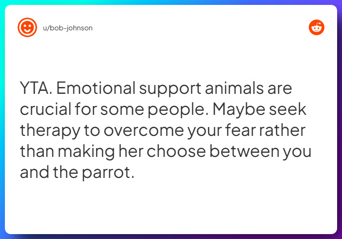 Comment from u/bob-johnson