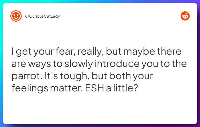 Comment from u/CuriousCatLady