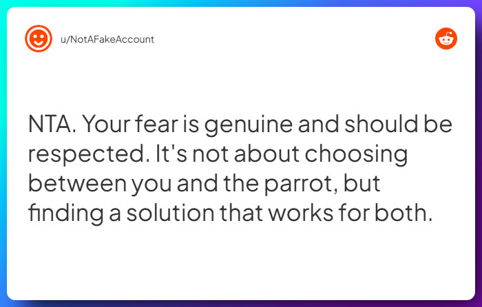 Comment from u/NotAFakeAccount