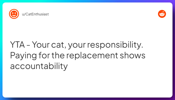 Comment from u/CatEnthusiast