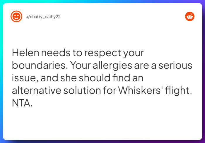 Comment from u/chatty_cathy22