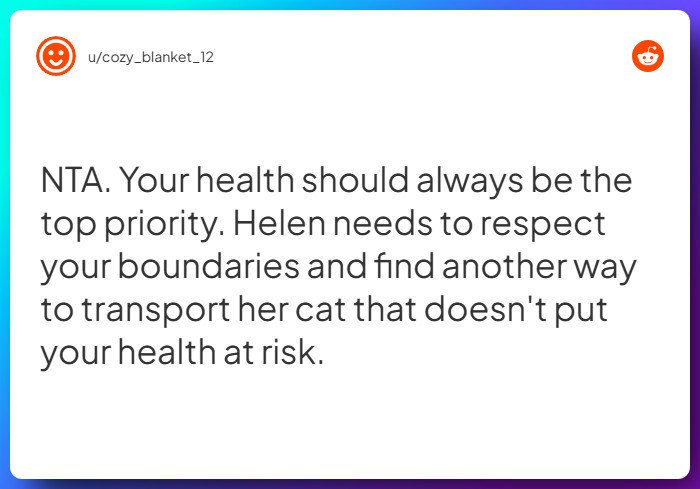 Comment from u/cozy_blanket_12