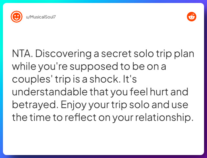 Comment from u/MusicalSoul7