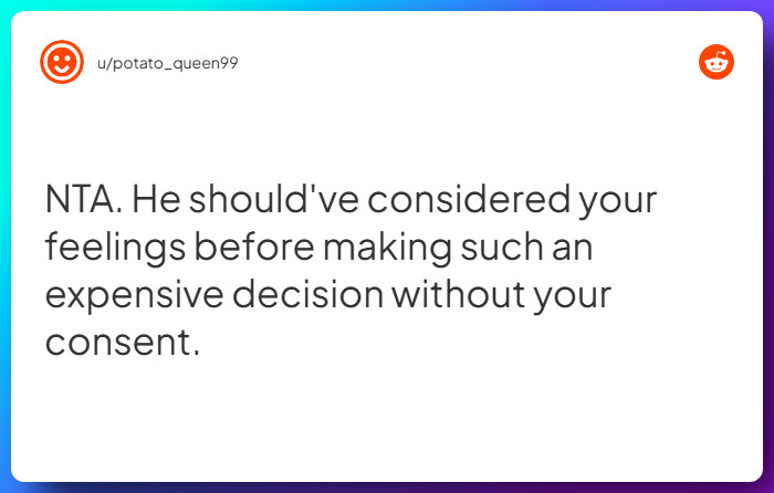 Comment from u/potato_queen99