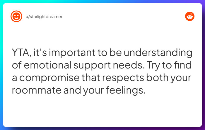 Comment from u/starlightdreamer