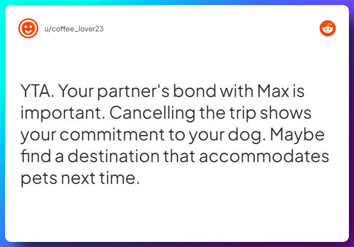 Comment from u/coffee_lover23