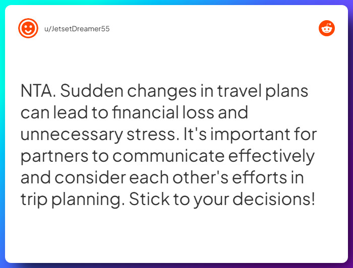 Comment from u/JetsetDreamer55