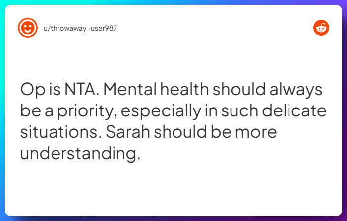 Comment from u/throwaway_user987