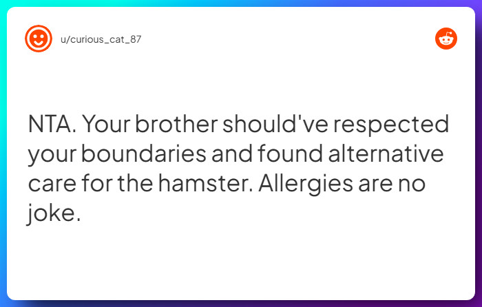 Comment from u/curious_cat_87