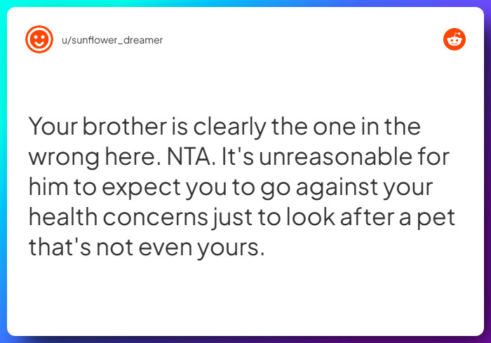 Comment from u/sunflower_dreamer