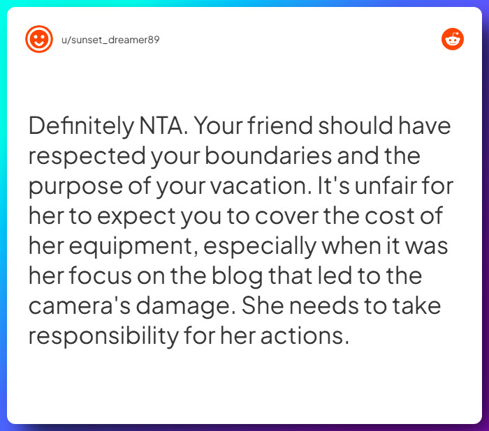 Comment from u/sunset_dreamer89