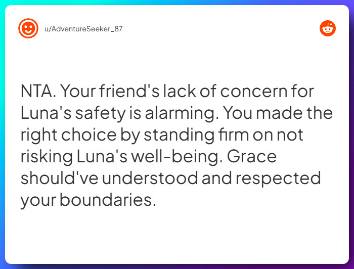 Comment from u/AdventureSeeker_87