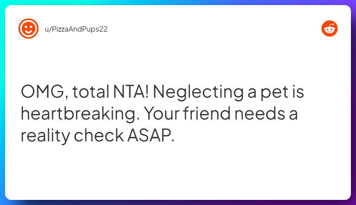 Comment from u/PizzaAndPups22