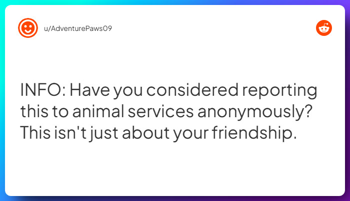 Comment from u/AdventurePaws09