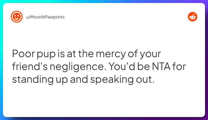 Comment from u/MoonlitPawprints