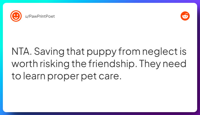 Comment from u/PawPrintPoet