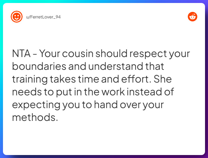 Comment from u/FerretLover_94