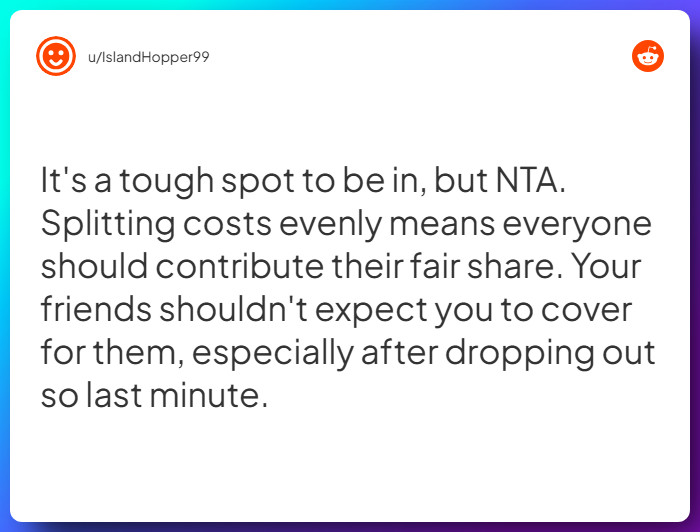 Comment from u/IslandHopper99