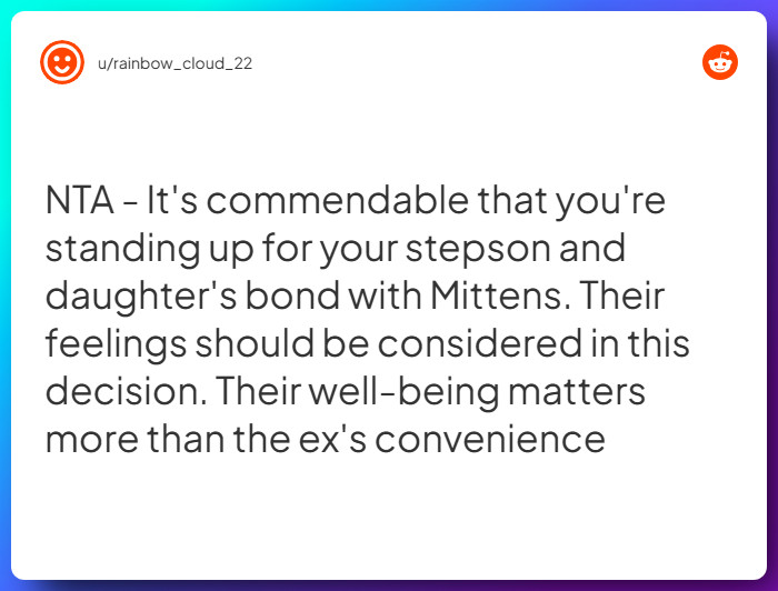 Comment from u/rainbow_cloud_22