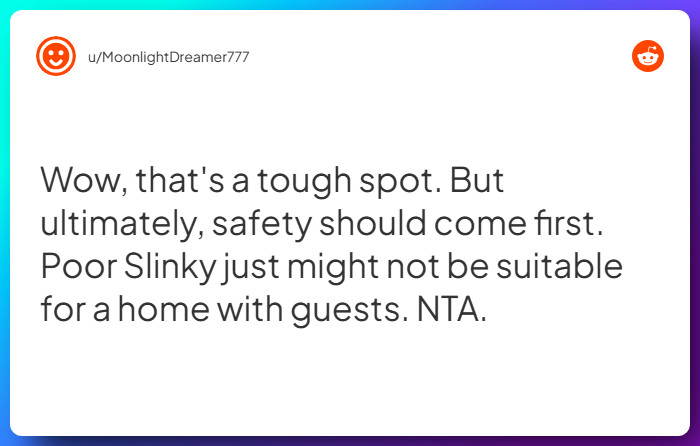 Comment from u/MoonlightDreamer777