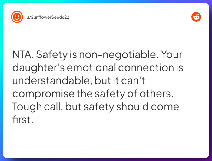 Comment from u/SunflowerSeeds22